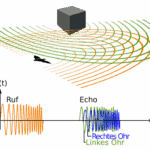 Animal_echolocation_german.svg_.png