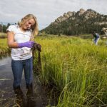 Citizen_scientist_sampling_in_Rocky_Mountain_National_Park._47428bc9-1dd8-b71b-0be5-bd49b6789d5b.jpg
